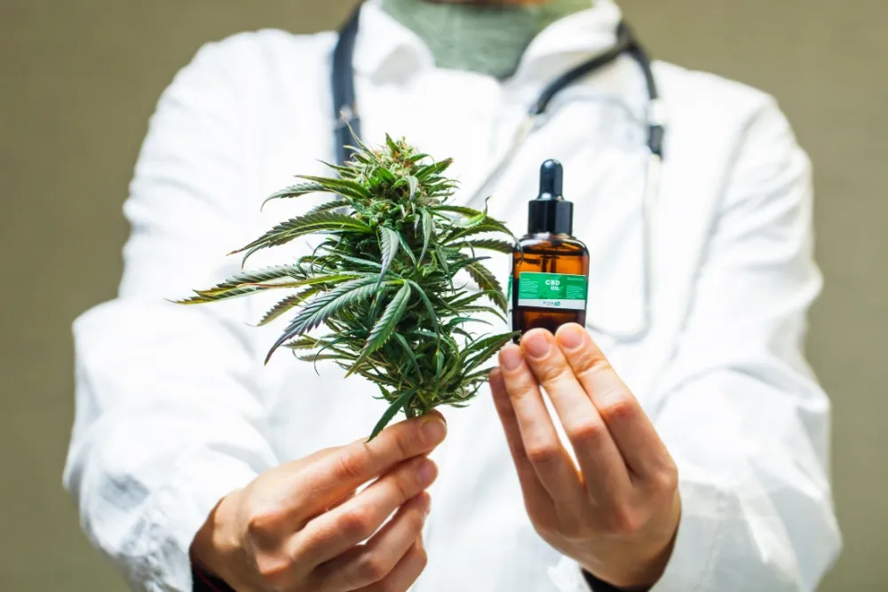 Médico segurando planta de cannabis e frasco de óleo de CBD