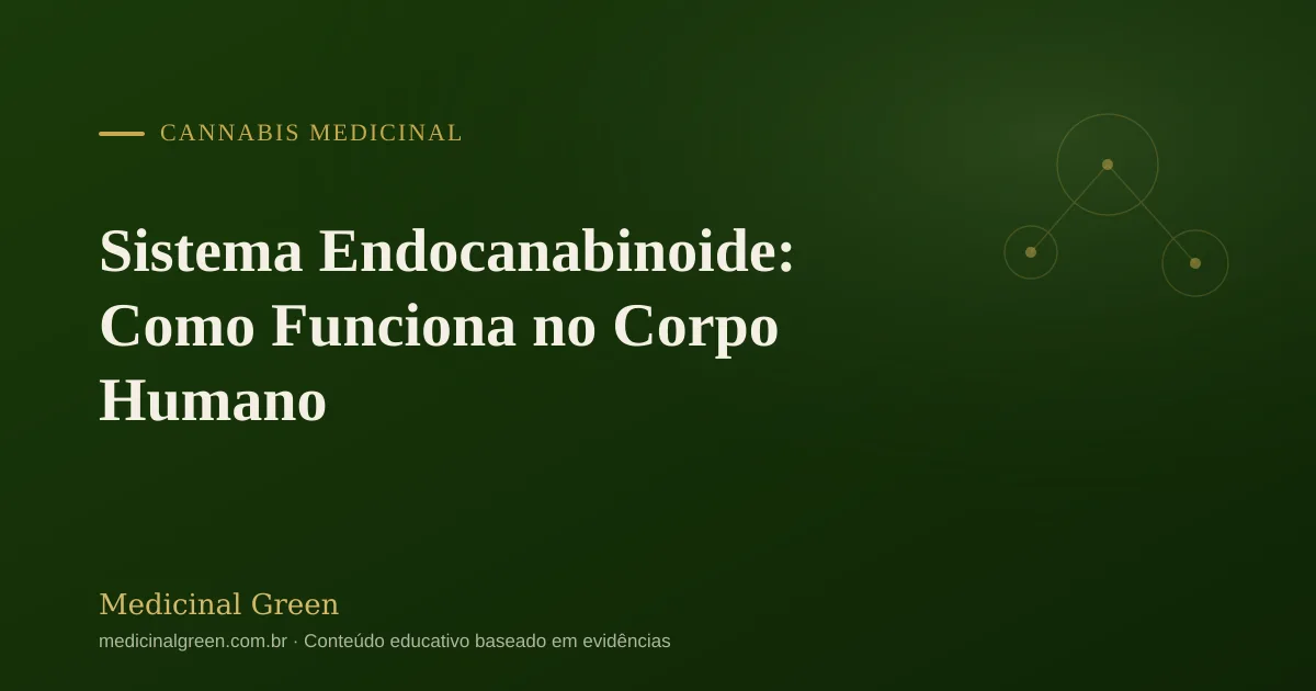 Sistema Endocanabinoide: Como Funciona no Corpo Humano
